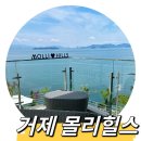 몰리힐스(MOLLI HILLS) | 거제 오션뷰 카페 추천 몰리힐스 (Molli Hills), 매미성 부근 카페