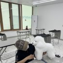 안산애견미용학원 실제 수강 후기