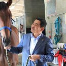 삼관목장 이미지