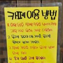 청춘물고기 이미지