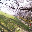 모악산주차장 Daum카페