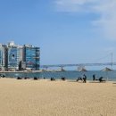 안리누나 이미지