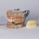 첨단튼튼치과의원 이미지