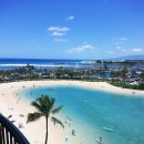 허니문빌리지 | 힐튼하와이안빌리지 와이키키 라군뷰 객실 후기 및 Q&amp;A