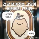 산 건강원 | 베리베리 건강원에서 귀여움으로 건강해져볼래? 귀염...뱁 홍대 연남동 팝업 정보 및 내돈내산 후기