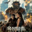 루인컴퍼니