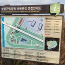 금강스포츠공원 | 세종 숲뜰 근린공원 다녀온 후기｜아이랑 가기 좋은 공원 추천