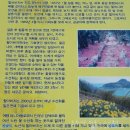 공곶이이야기 이미지