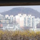 굿모닝제주 이미지