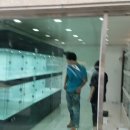 스마트 애견 이미지