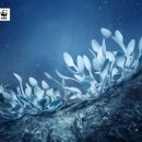 디자인바다광고 이미지