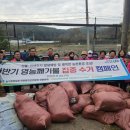 농협 인천옹진군지부 이미지