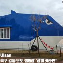31140-9-87-5 | 울산 북구 강동 오토캠핑장 무장애 카라반 6 상어 후기