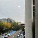 덕우빌딩(제2별관) 앞 | [W1. 결혼준비] 강남 웨딩홀 투어, 셀럽앤 어셈 26년 하반기 견적 후기 (견적 o, 계약 x)