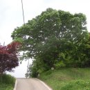 성동사거리(2) 이미지