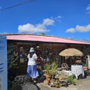 들레마켓 | 여행가서도 소품샵은 못참지 제주 소품샵 투어 추천