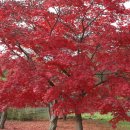 불암산로59번길 이미지