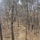 청화산 | 충북 괴산/경북 상주 청화산 등산코스 후기 | 원적사 코스 난이도, 소요시간, 블랙야크 100대명산