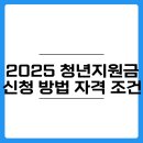 석사근로복지(석사) | 2025년 청년지원금 신청 방법 및 자격 조건 (with 청년 월세 지원 사업 제도)