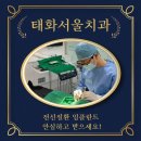 디오서울치과의원 이미지
