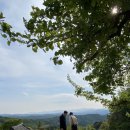 단양농협 단성지점 이미지