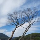 대한민국6·25참전유공자회 경남지부 거제시지회 | 남파랑길 25코스(남부면 탑포마을~거제파출소)