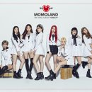 모모랜드 티브이데일리