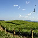 나라 태양광발전소 이미지