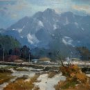 애버그린 이미지