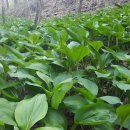 명이농장 이미지