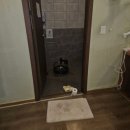조은클리닝 | 청주 하수구 잘뚫는 곳 청주하수구막힘싱크대막힘변기막힘뚫음참조은설비