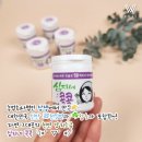 법인심지