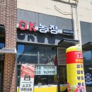 무한 농장 | [세종] 오케이농장 : 세종 소고기 무한 리필집 방문 후기