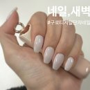네일새벽 | 네일,새벽 :: 구디 네일 유목민 정착, 내돈내산 재방문 후기