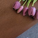 퍼니처 253 이미지