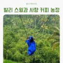 동부농장 | 발리 동부투어 3편 우붓 스윙, 사향고양이 커피농장, 테바사리 레스토랑까지!
