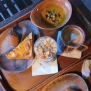 도토리(dotori) 티스토리