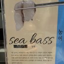 스시민 이미지