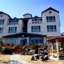 씨에코비치 이미지