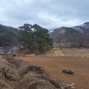 노송식당 이미지