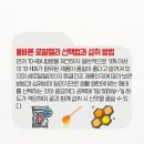 로얄피부미용