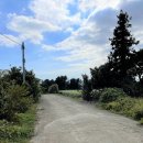 동광리-5 이미지