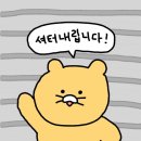 [5월 일상✨] 소소한 일상/여행기록/맛집탐방/애견카페