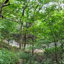 춘천새윤병원 이미지