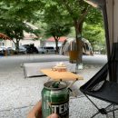 내리계곡 솔밭캠핑장 이미지