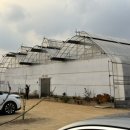 나눔농장 | 서울 근교 아기와 가볼만한 곳 부천 나눔농장 후기 !