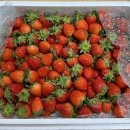 달을보는농부 이미지