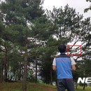 부론문화체육공원 뉴시스