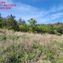 용암태양광발전소 이미지