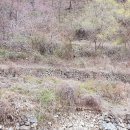 매남3리 이미지